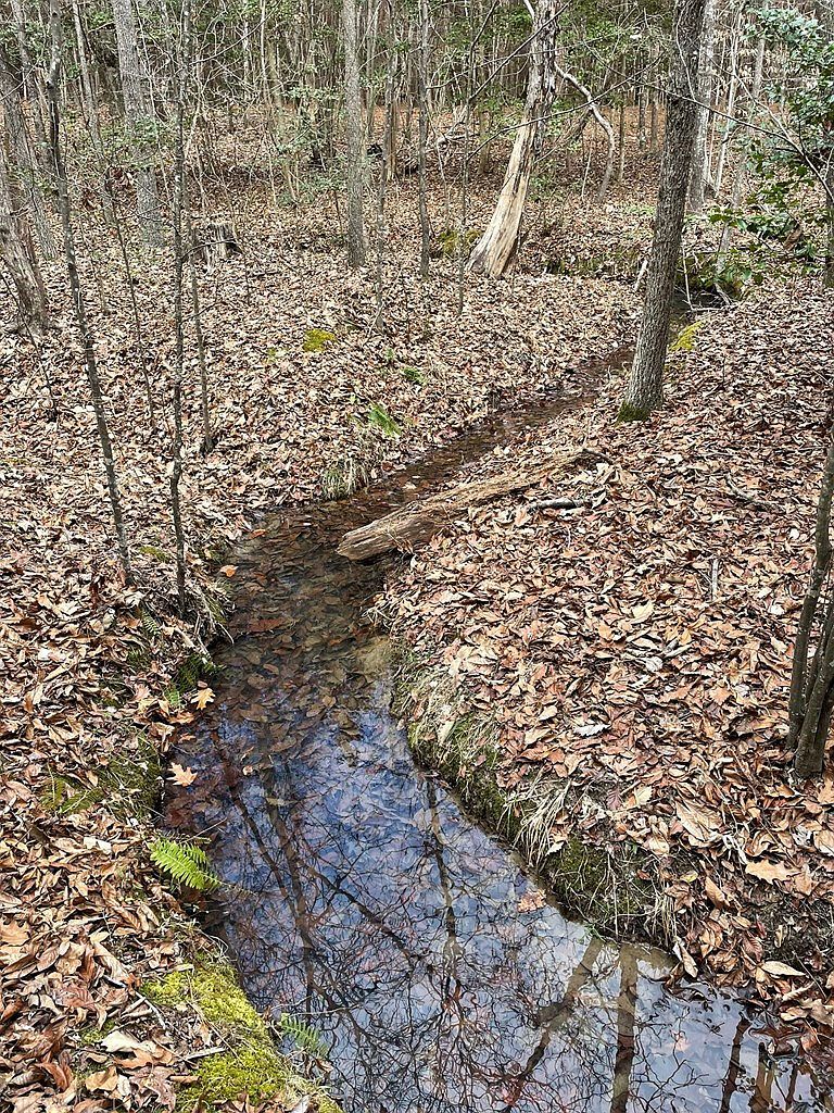 130 Eagles Rest Dr Clarksville, VA 23927 - Thumbnail 3