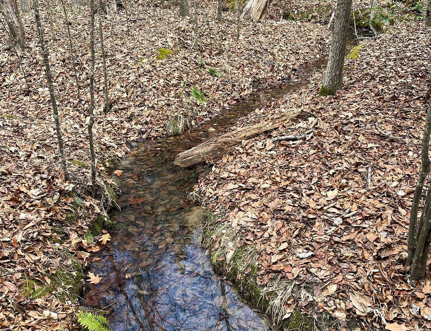 130 Eagles Rest Dr #10 Clarksville, VA 23927 - Thumbnail 3