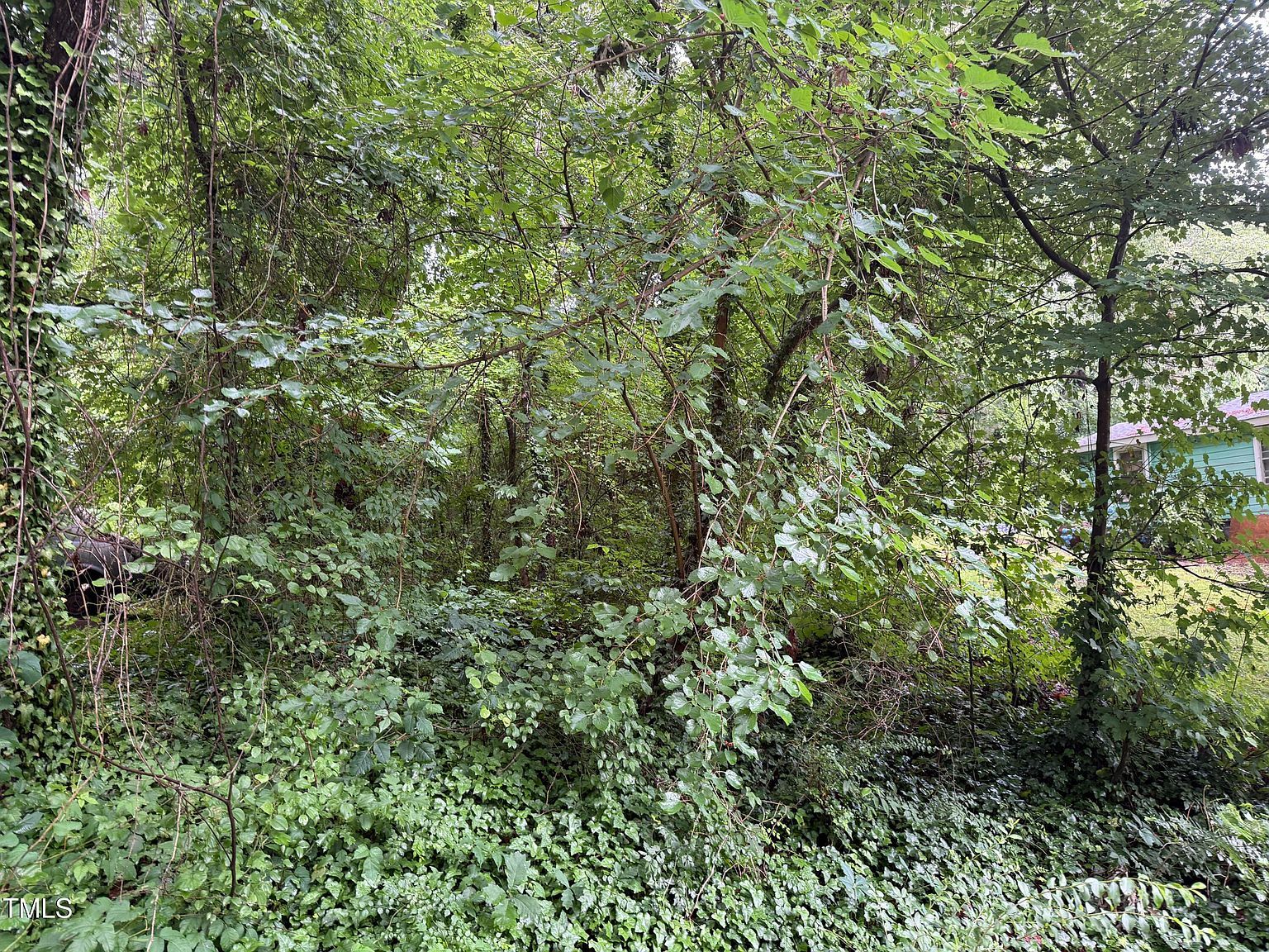 0 Thomas St Henderson, NC 27536 - Thumbnail 3