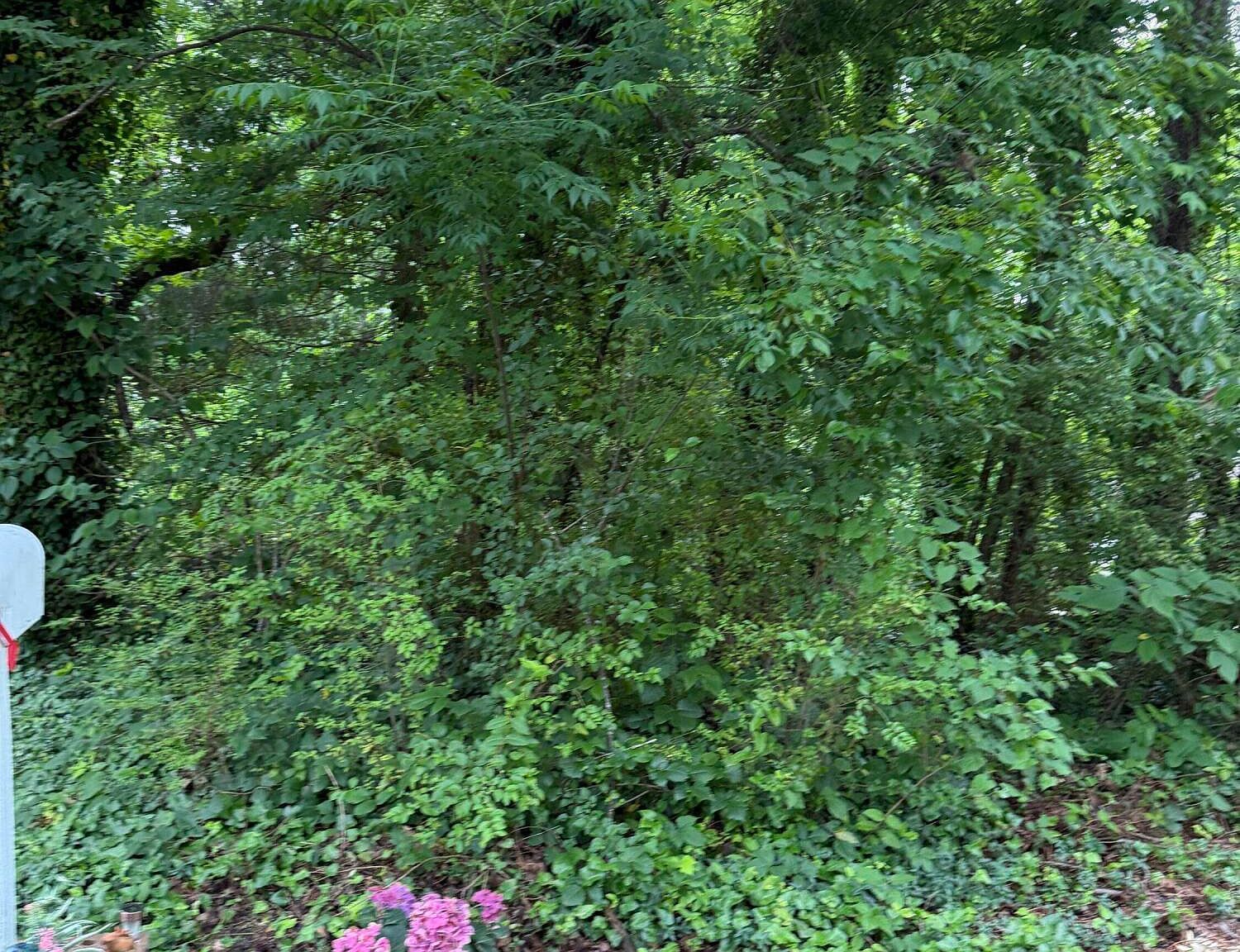 0 High St Henderson, NC 27536  | Land/Lot