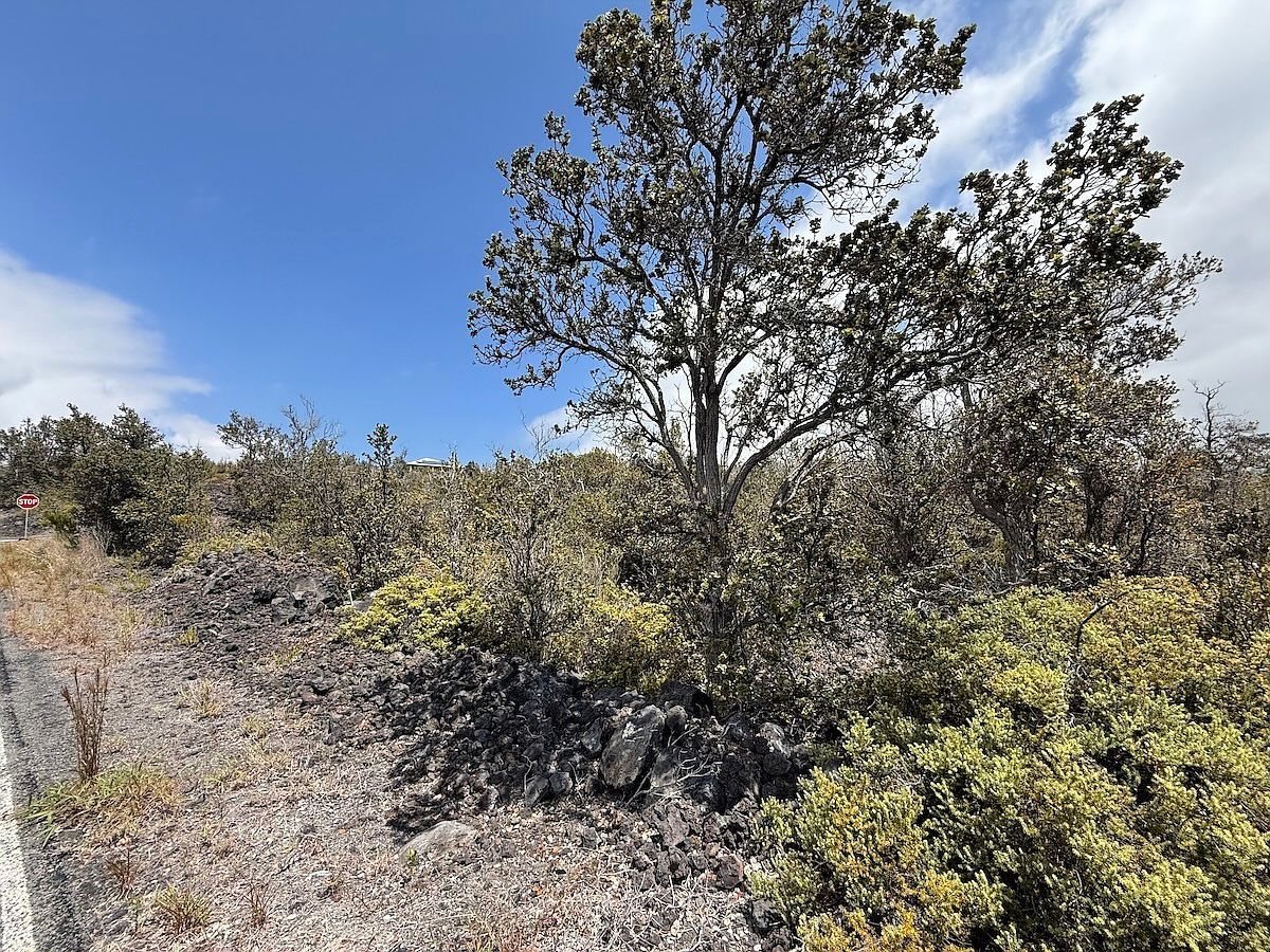 Plumeria Ln LOT 1 Captain Cook, HI 96704 - Thumbnail 3