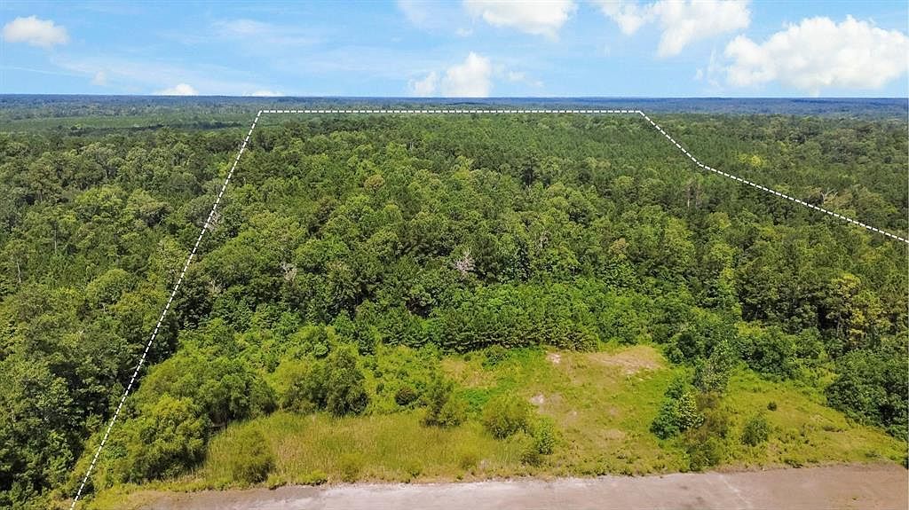 0 County Road 4090 Woodville, TX 75979 - Thumbnail 3