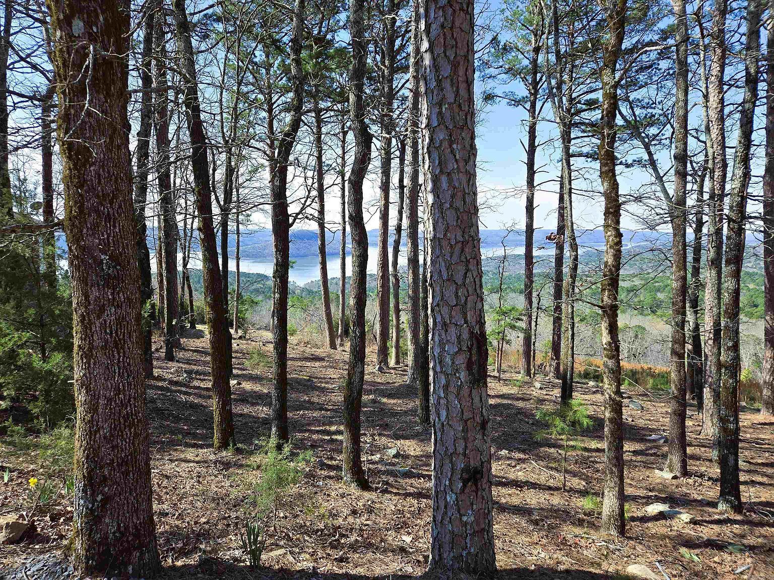 117 Eagle Ridge Trce Fairfield Bay, AR 72088 - Thumbnail 3