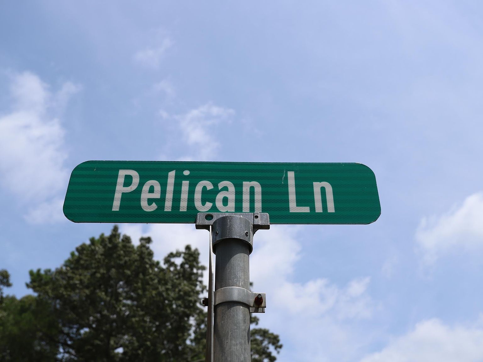 LOT 90 Pelican Ln Murray, KY 42071 - Thumbnail 3