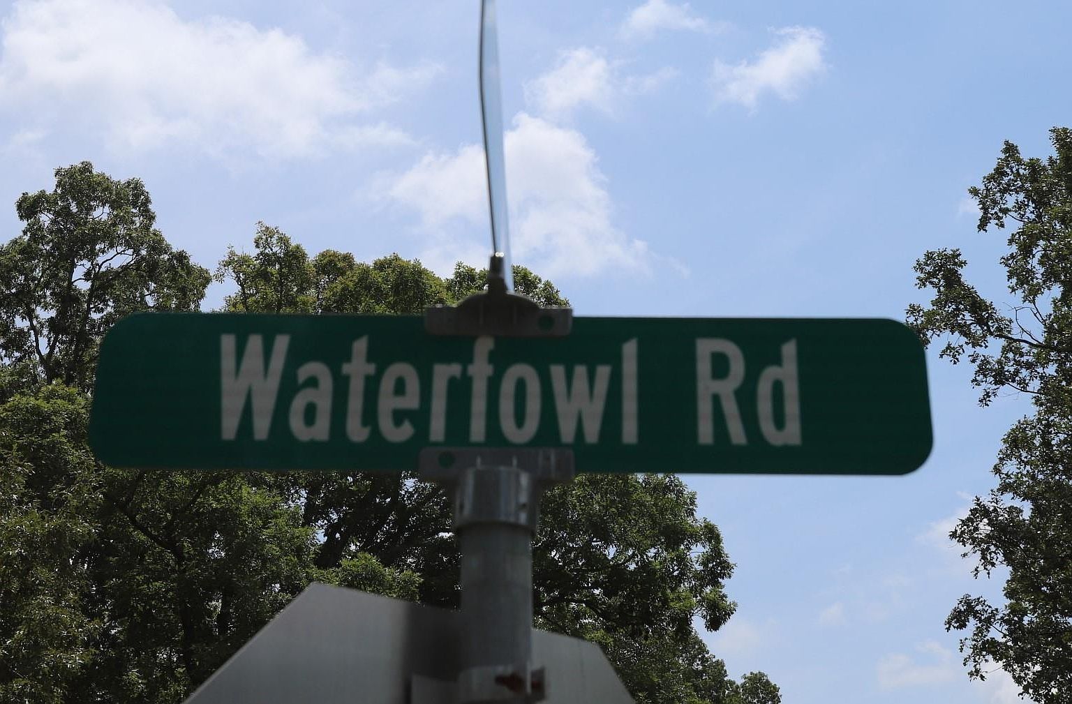 LOT 46 Waterfowl Rd Murray, KY 42071 - Thumbnail 3