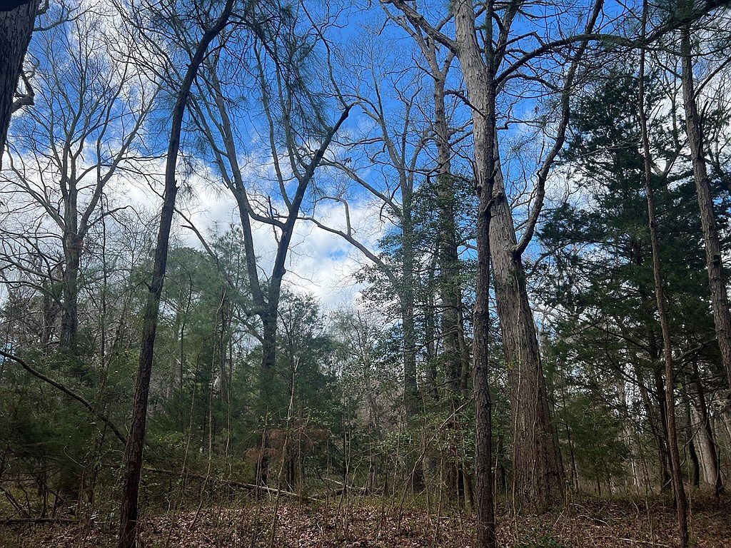 LOT 3A Harbour Ln Cape Charles, VA 23310 - Thumbnail 3