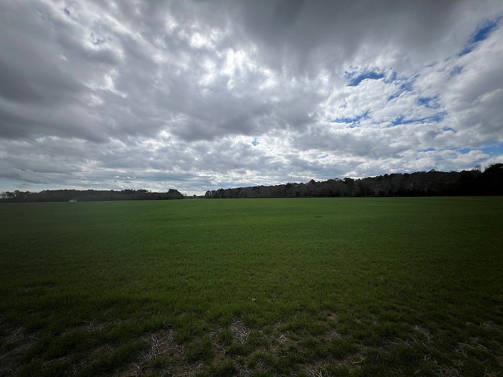 LOT-16A Miles Wharf Rd Exmore, VA 23350 - Thumbnail 3