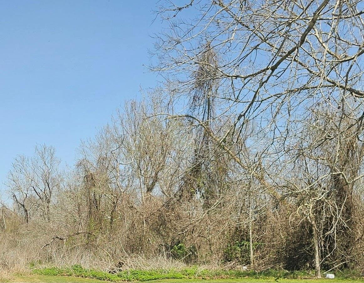 0 Selkirk Cir Bay City, TX 77414 - Thumbnail 3