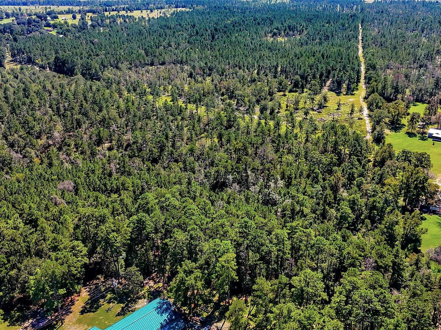 287 Tbd Hwy Corrigan, TX 75939 - Thumbnail 3