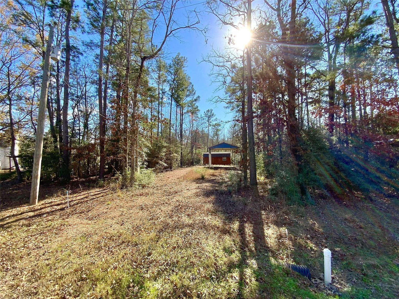 837 Brackenridge Livingston, TX 77351 - Thumbnail 3