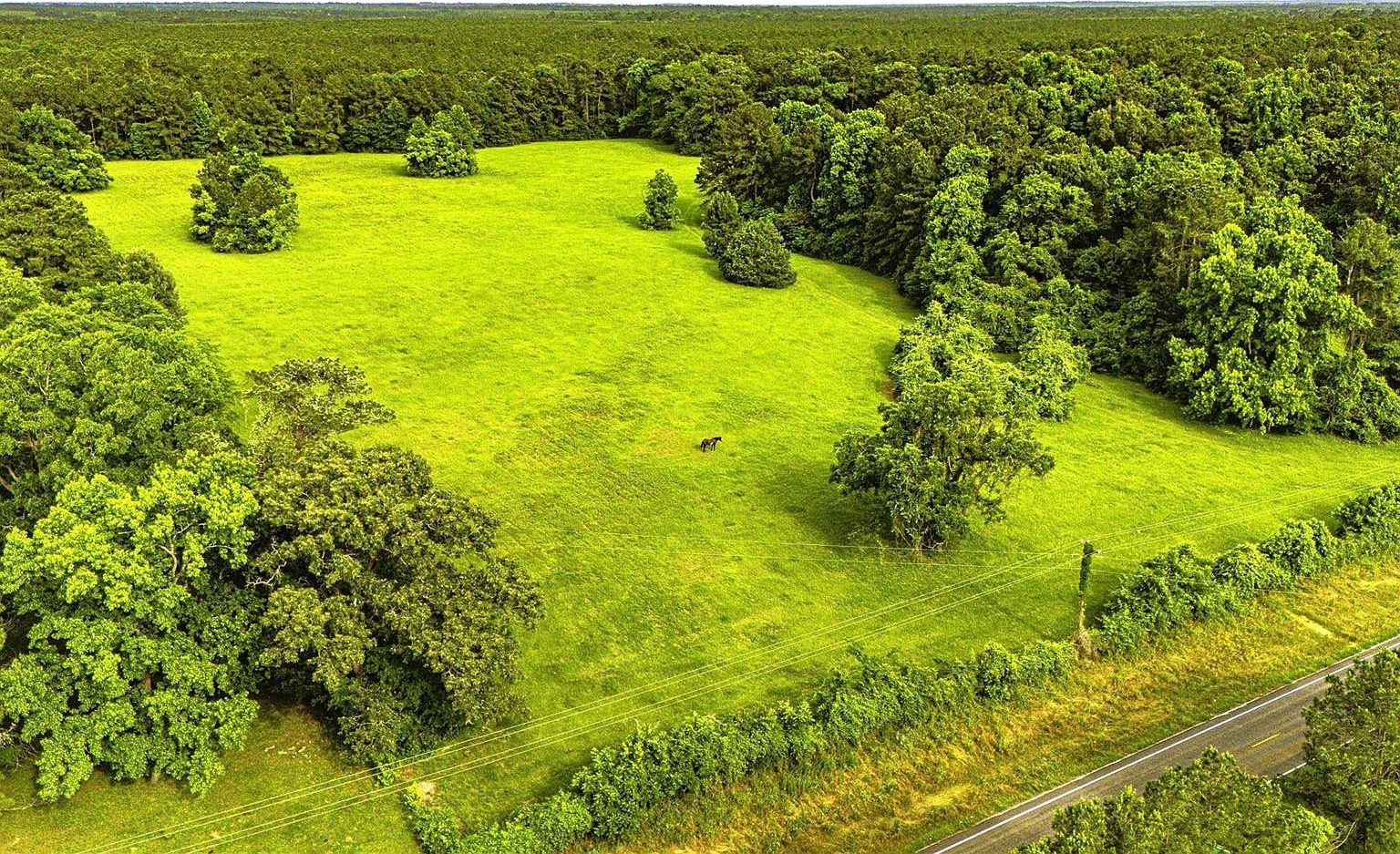 Fm 2610 Livingston Livingston, TX 77351 - Thumbnail 3