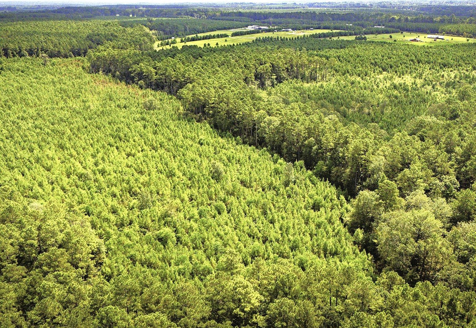 Stutts Livingston, TX 77351 - Thumbnail 3