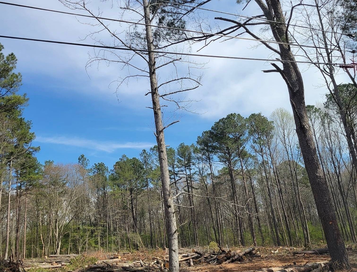 0 Maple Trl Sharpsburg, GA 30277 - Thumbnail 3