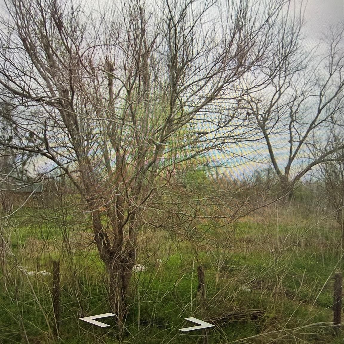 3221 Blackshear St Wharton, TX 77488 - Thumbnail 3