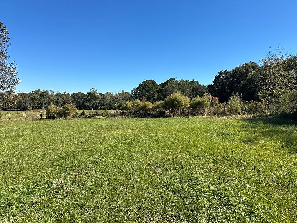 0 State Highway 82 Sumner, GA 31789 - Thumbnail 3