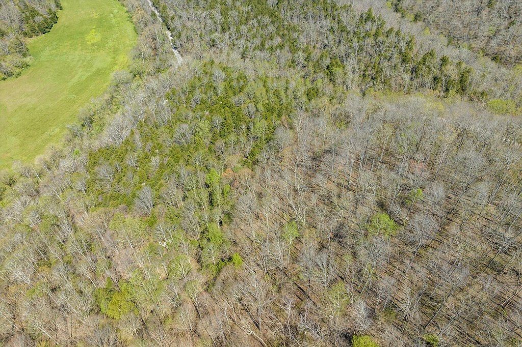 0 Red Bud Ln Hilham, TN 38568 - Thumbnail 3