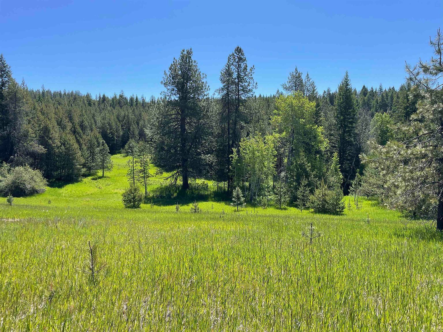 4435 Whittier Rd Lot 2 Clayton, WA 99110 - Thumbnail 3