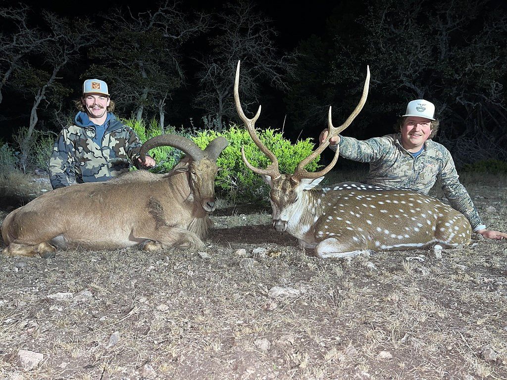 229 Lost Man Rd Mountain Home, TX 78058 - Thumbnail 3