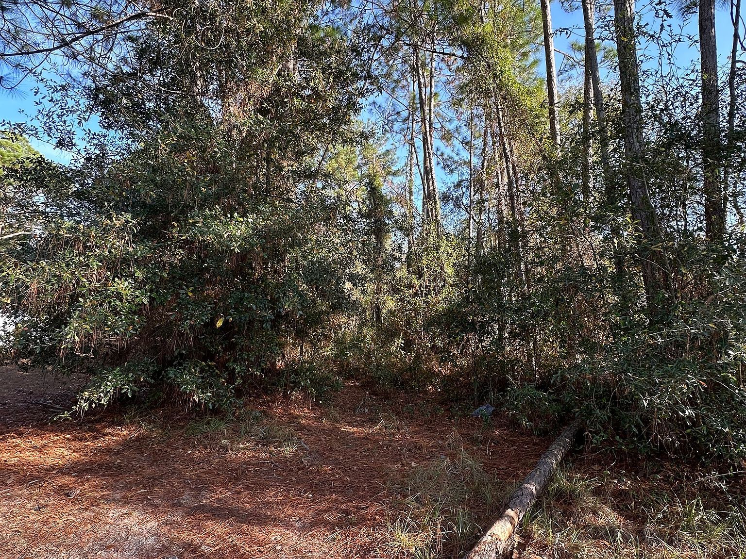 Sailfish Dr SE Darien, GA 31305 - Thumbnail 3