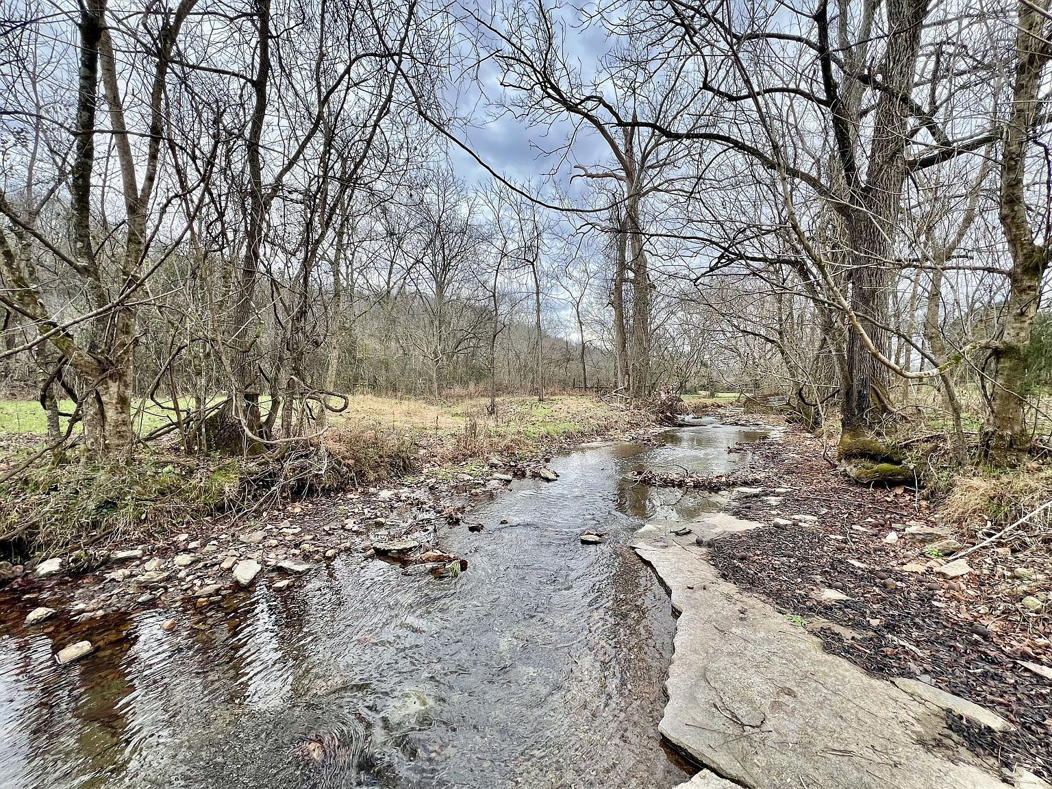 1595 Hurricane Creek Rd Lawrenceburg, TN 38464 - Thumbnail 3