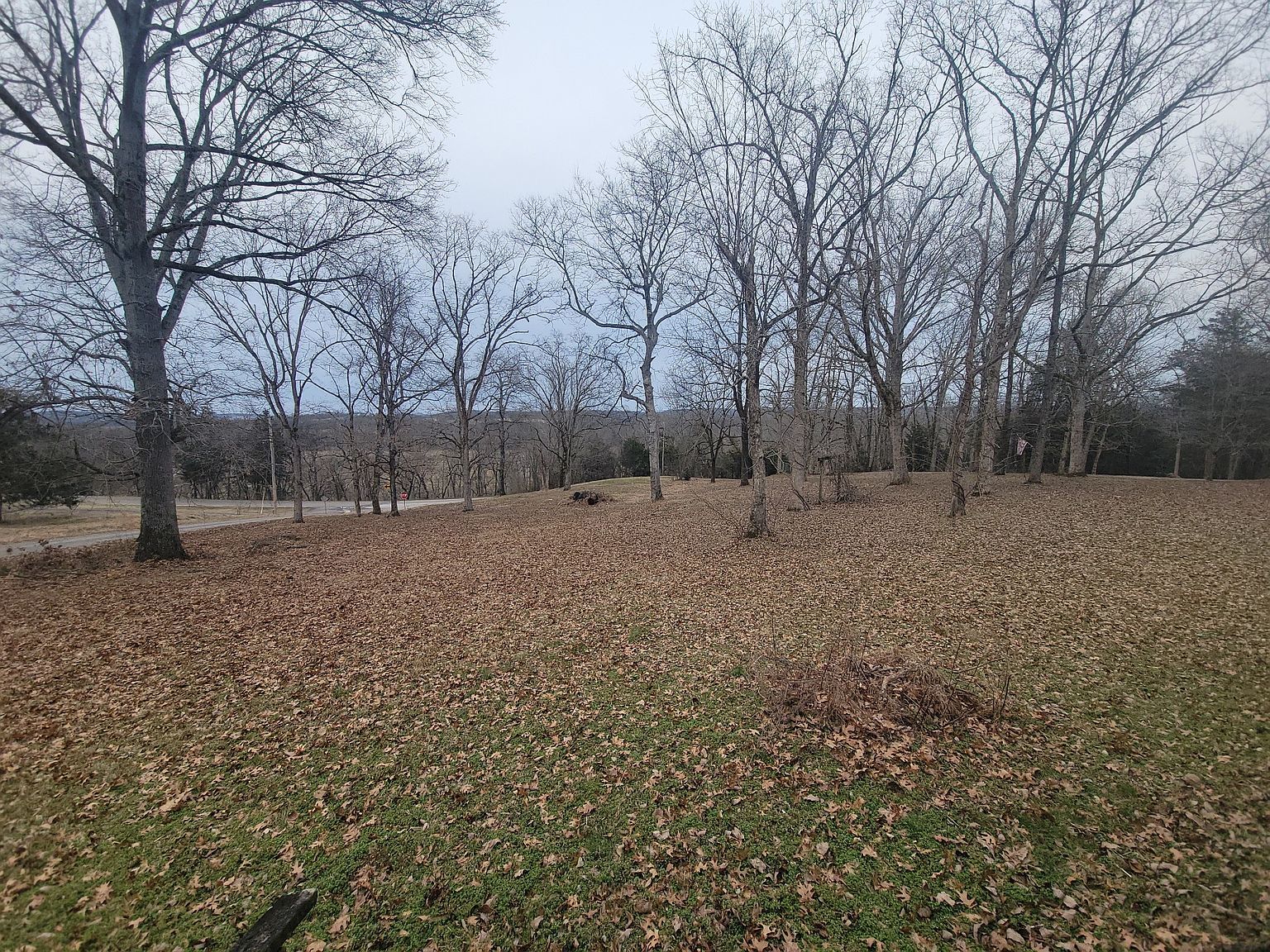 171 Trinity Hill Rd Pulaski, TN 38478 - Thumbnail 3