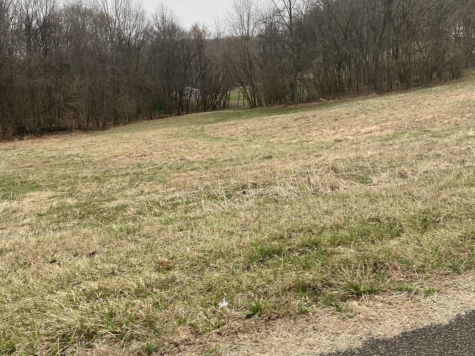 883 Scenic Dr Pulaski, TN 38478 - Thumbnail 3