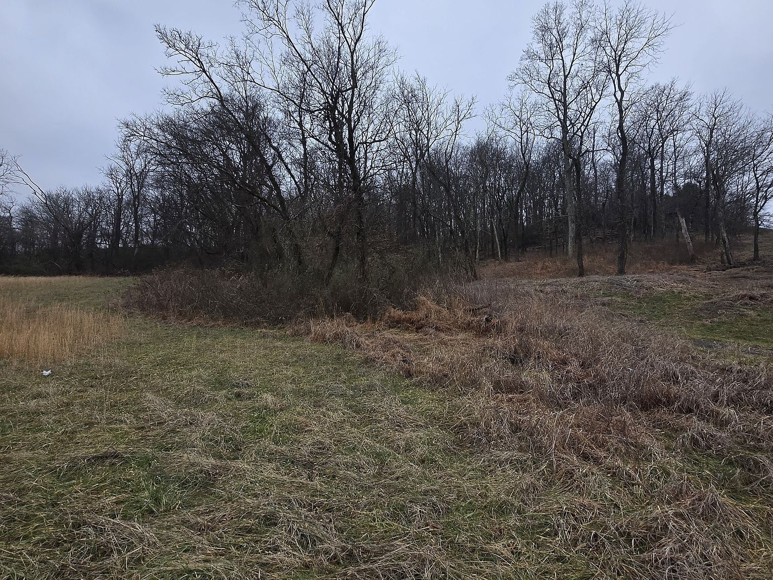 22241 Highway 64 W Pulaski, TN 38478 - Thumbnail 3