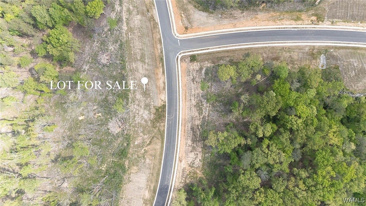 35 Fiji Way Tuscaloosa, AL 35406 - Thumbnail 3