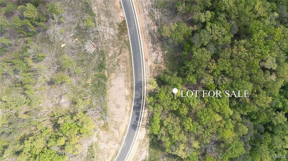 16 Fiji Way Tuscaloosa, AL 35406 - Thumbnail 3