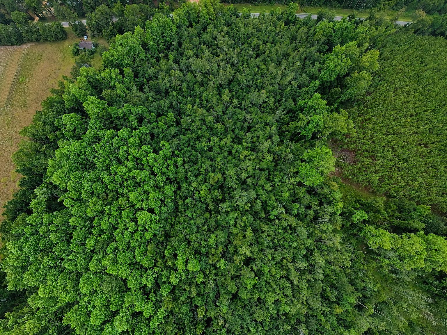 10600 Us Highway 80 E Brooklet, GA 30415 - Thumbnail 3