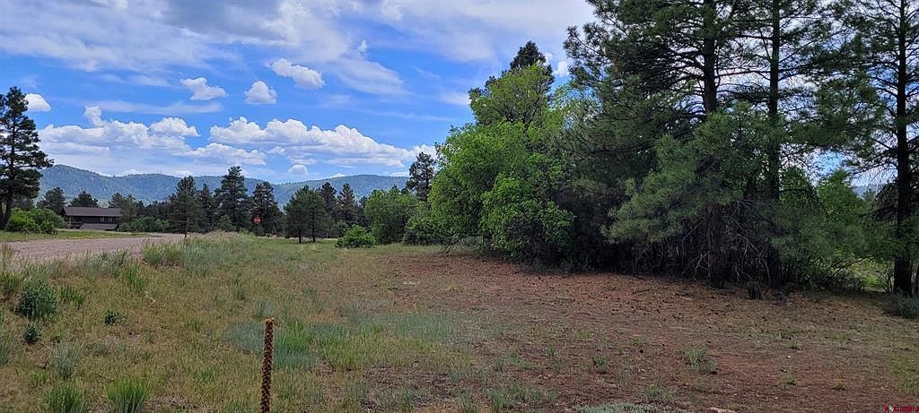 30 High Dr Pagosa Springs, CO 81147 - Thumbnail 3