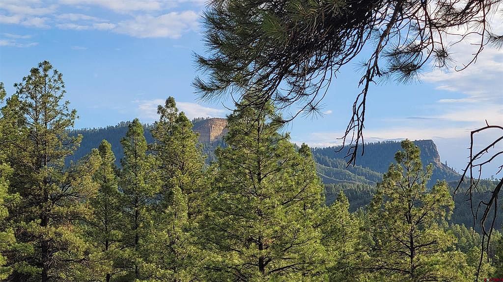 814 Ginger Cir Pagosa Springs, CO 81147 - Thumbnail 3