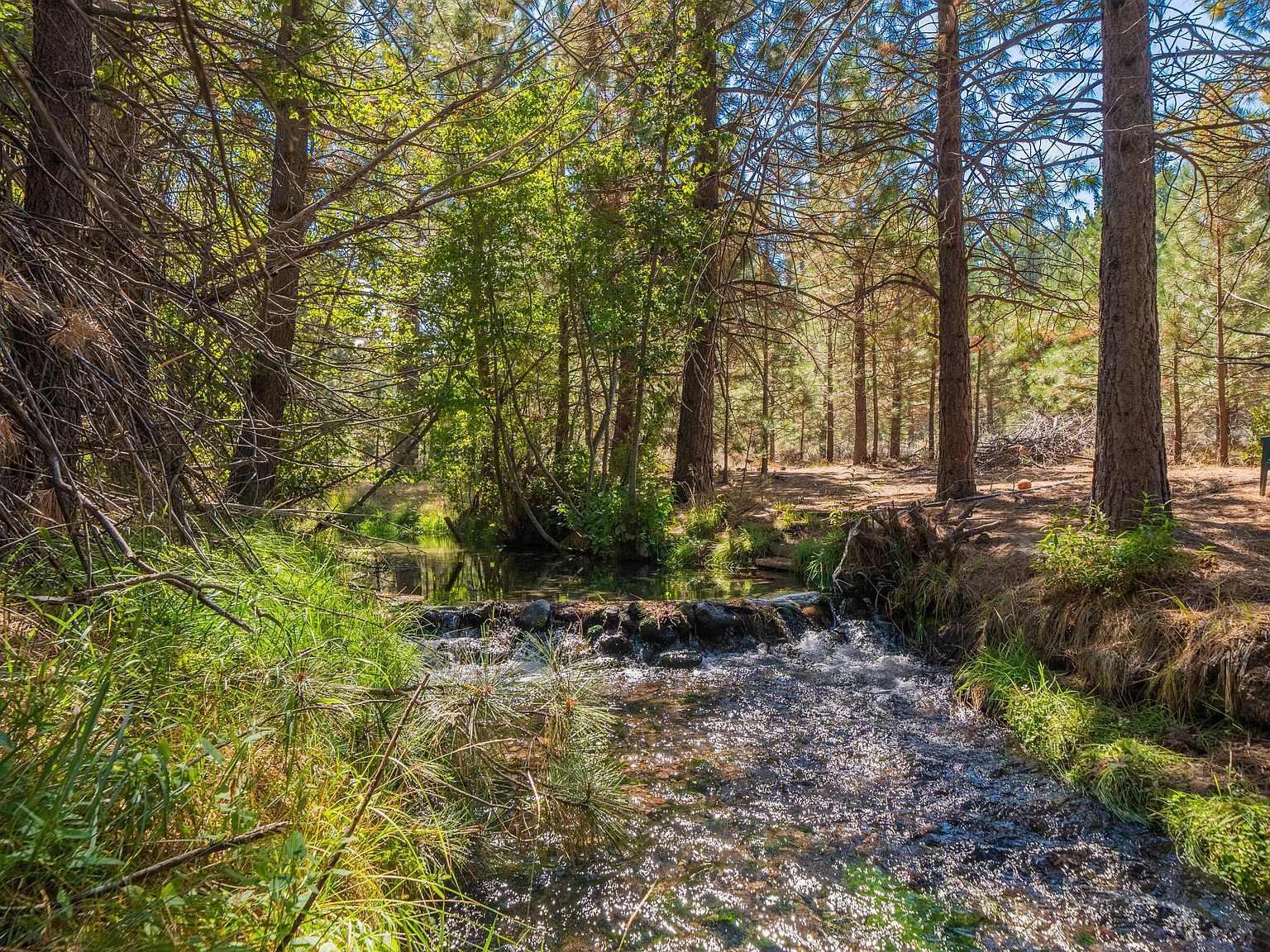 12792 Clearbrook Dr Old Station, CA 96071 - Thumbnail 3