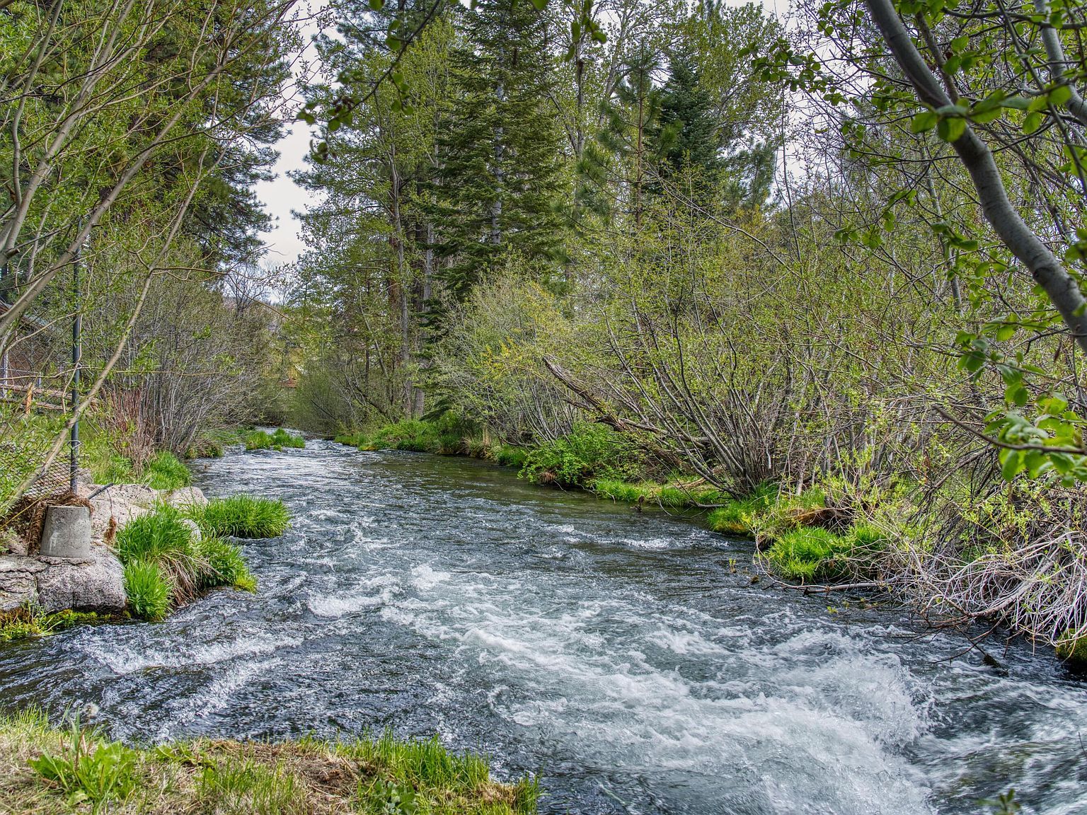 42324 Blue Heron Cir Old Station, CA 96071 - Thumbnail 3