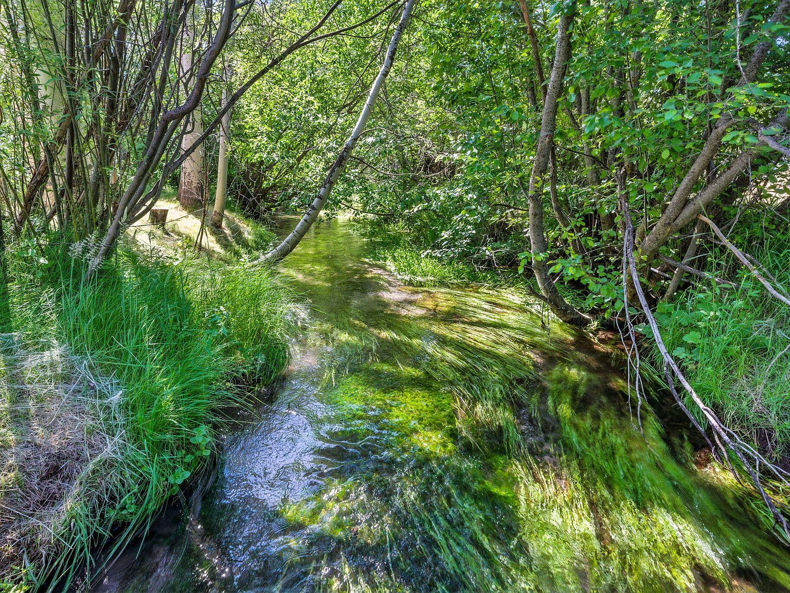 12755 Clearbrook Dr Old Station, CA 96071 - Thumbnail 3