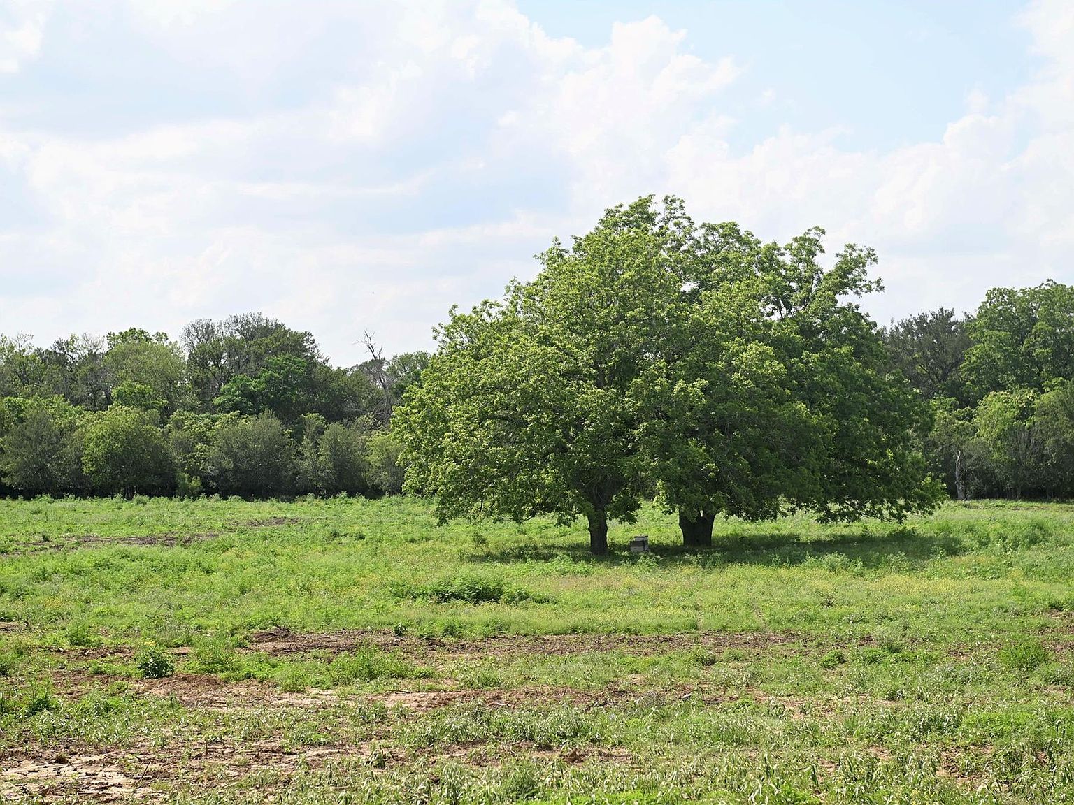 LOT 5 Valley Creek Dr Cedar Creek, TX 78612 - Thumbnail 3
