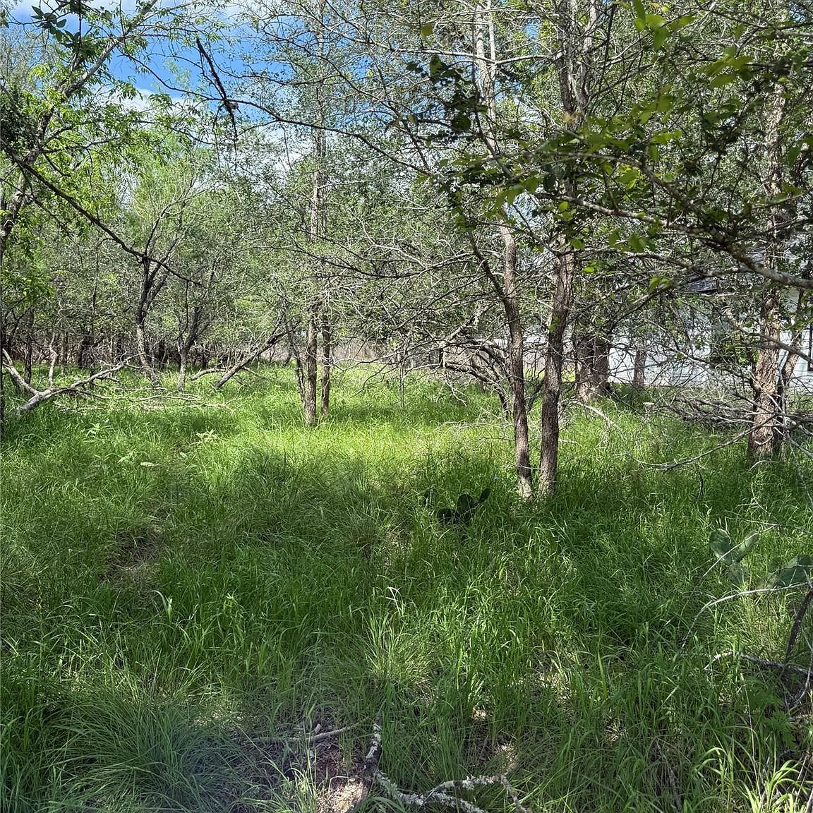 LOT 200 Nene Ln Bastrop, TX 78602 - Thumbnail 3