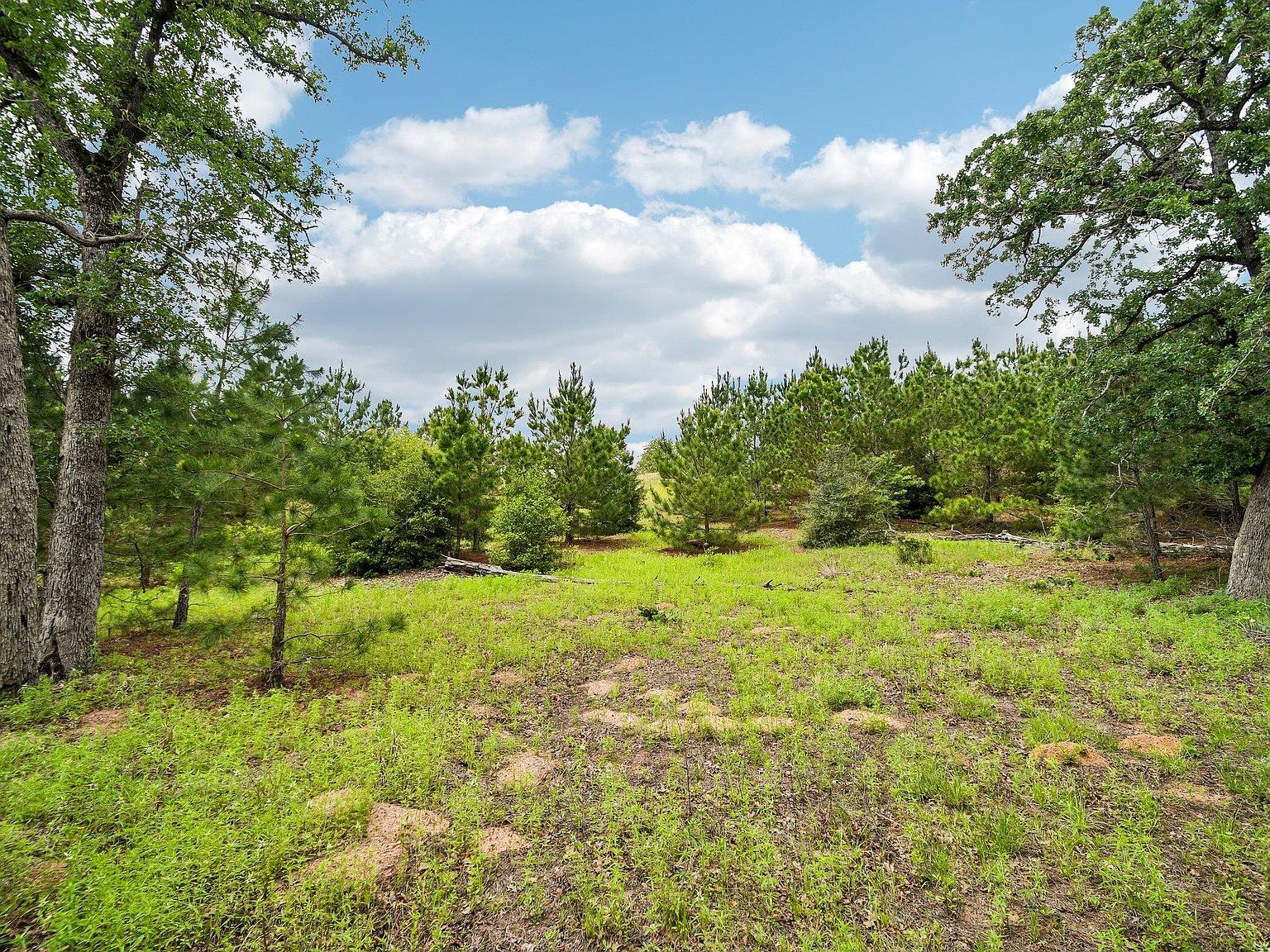 1213 Park Hill Farms Rd #1C Smithville, TX 78957 - Thumbnail 3