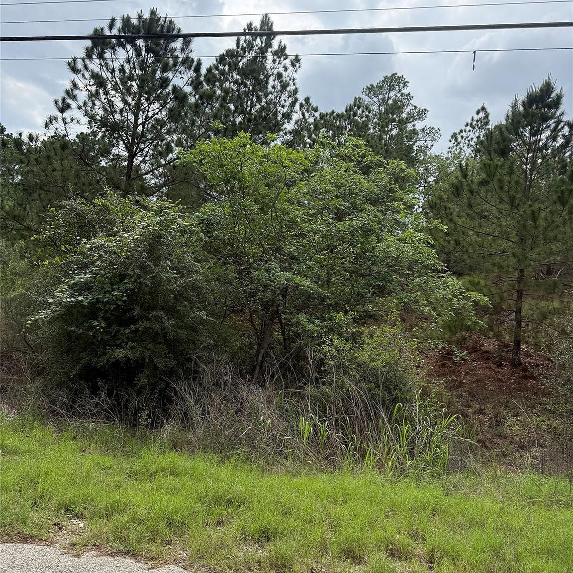 1360 N Kaupo Dr Bastrop, TX 78602 - Thumbnail 3