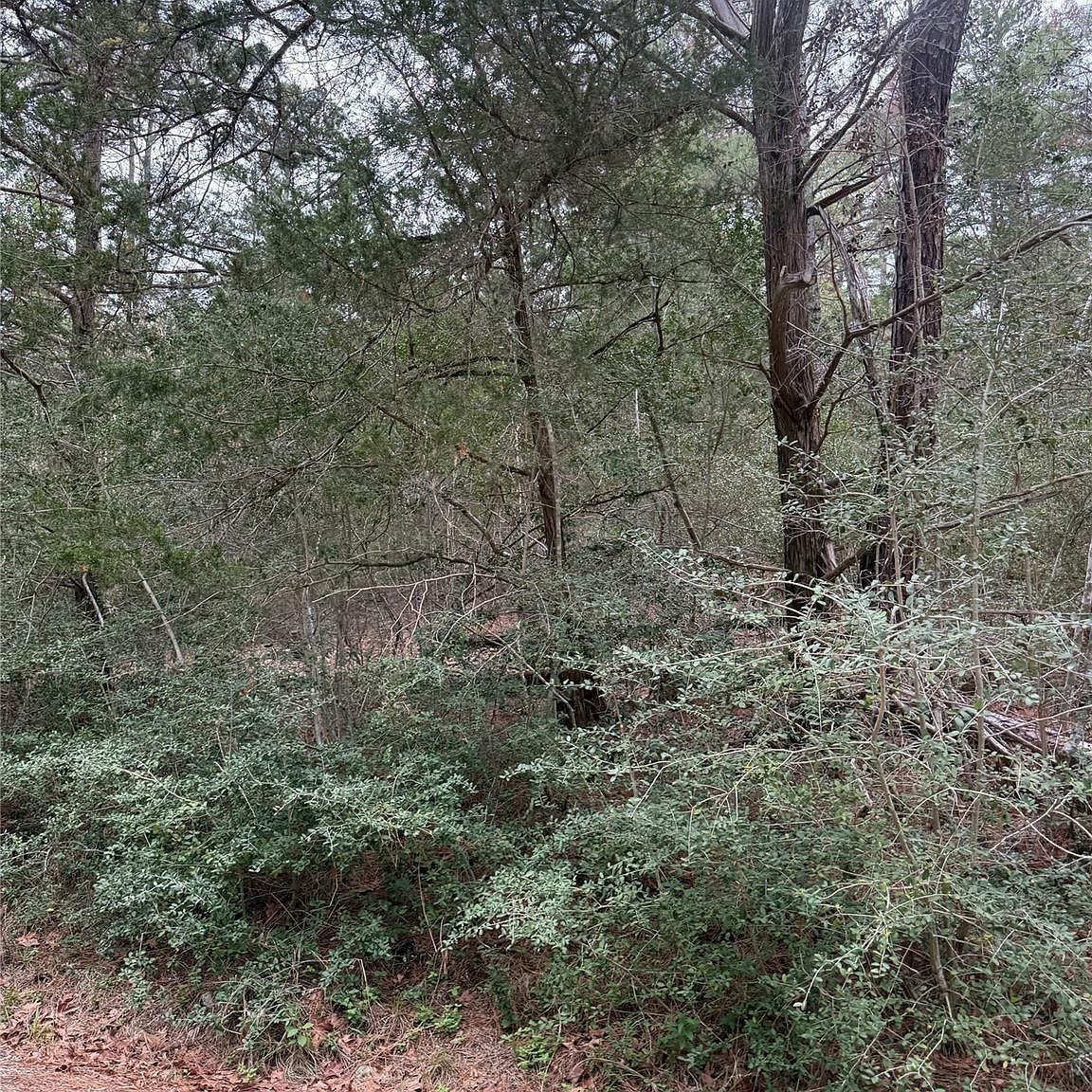 1428 Keaau Ct Bastrop, TX 78602 - Thumbnail 3