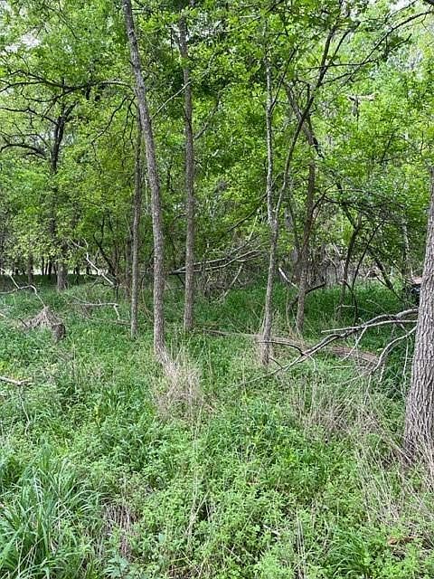 225 Kahana Ln Bastrop, TX 78602 - Thumbnail 3