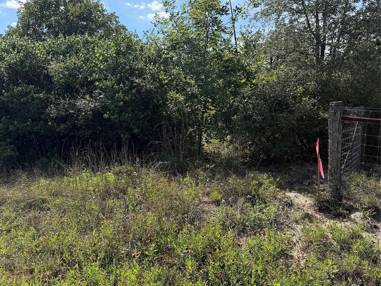 N Mockingbird Ln Bastrop, TX 78602 - Thumbnail 3