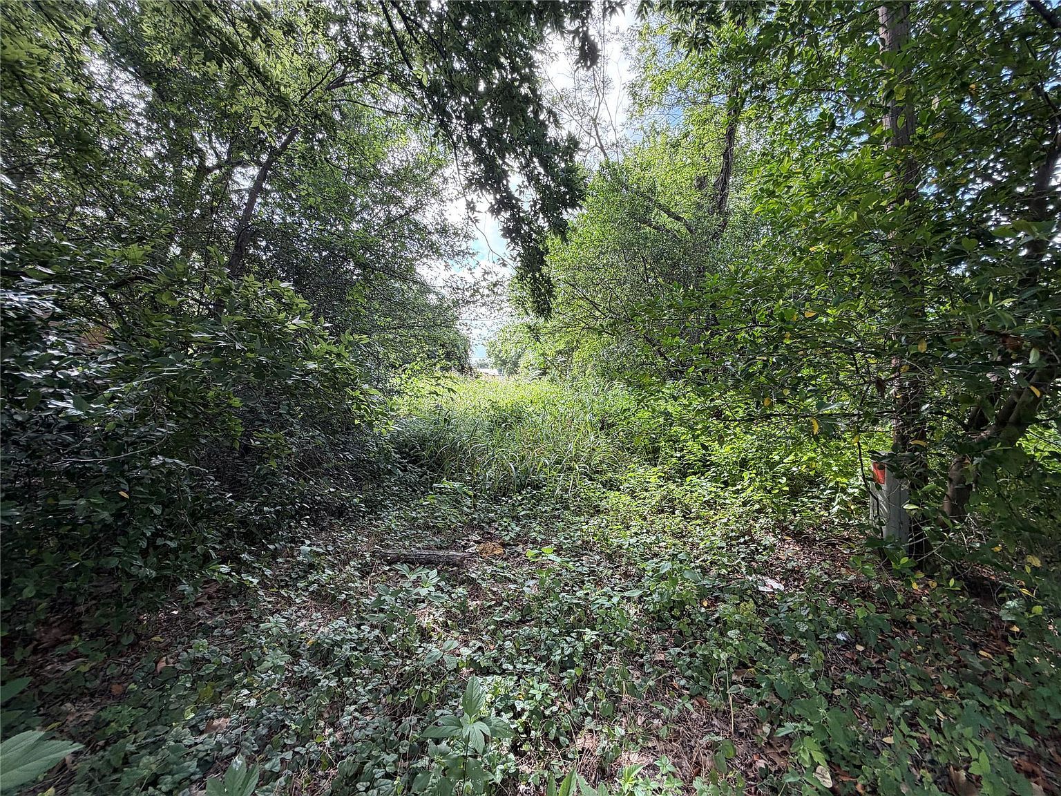 305 Ross St Smithville, TX 78957 - Thumbnail 3
