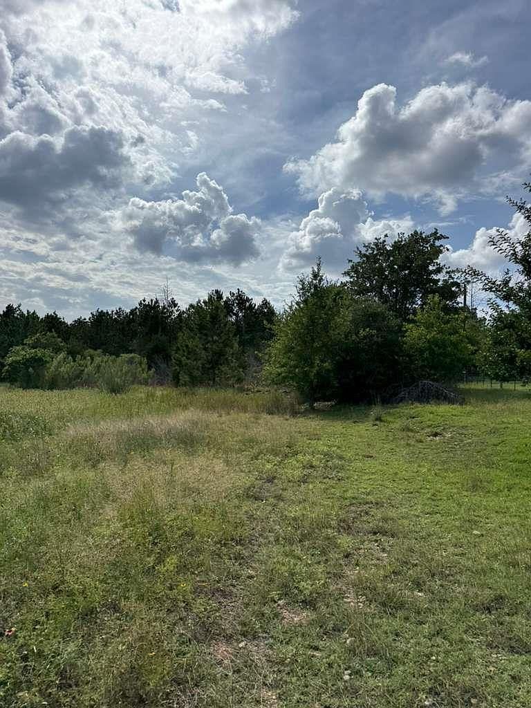 109 Pintail Ln Paige, TX 78659 - Thumbnail 3