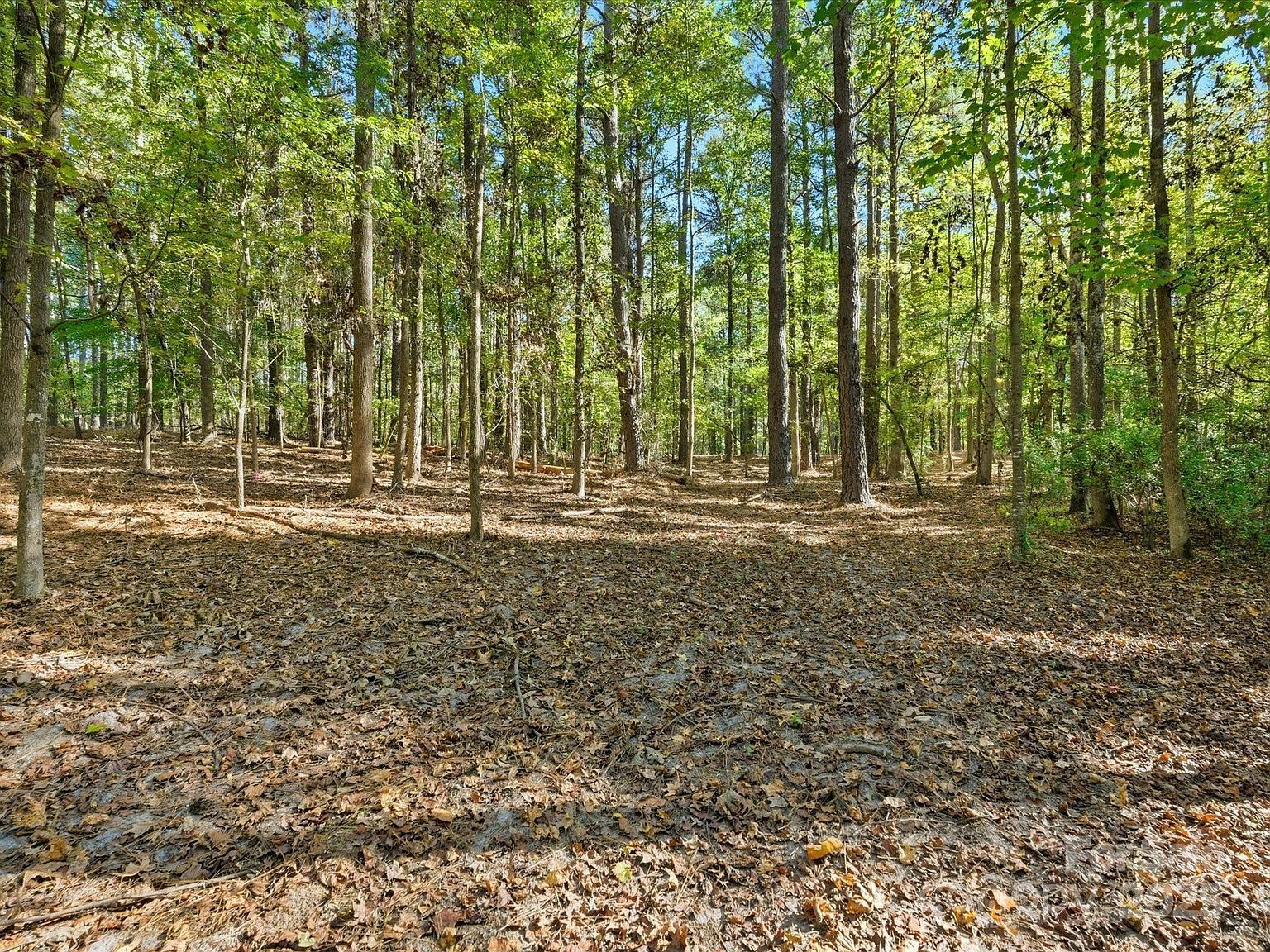 0 Rehobeth Rd Waxhaw, NC 28173 - Thumbnail 3