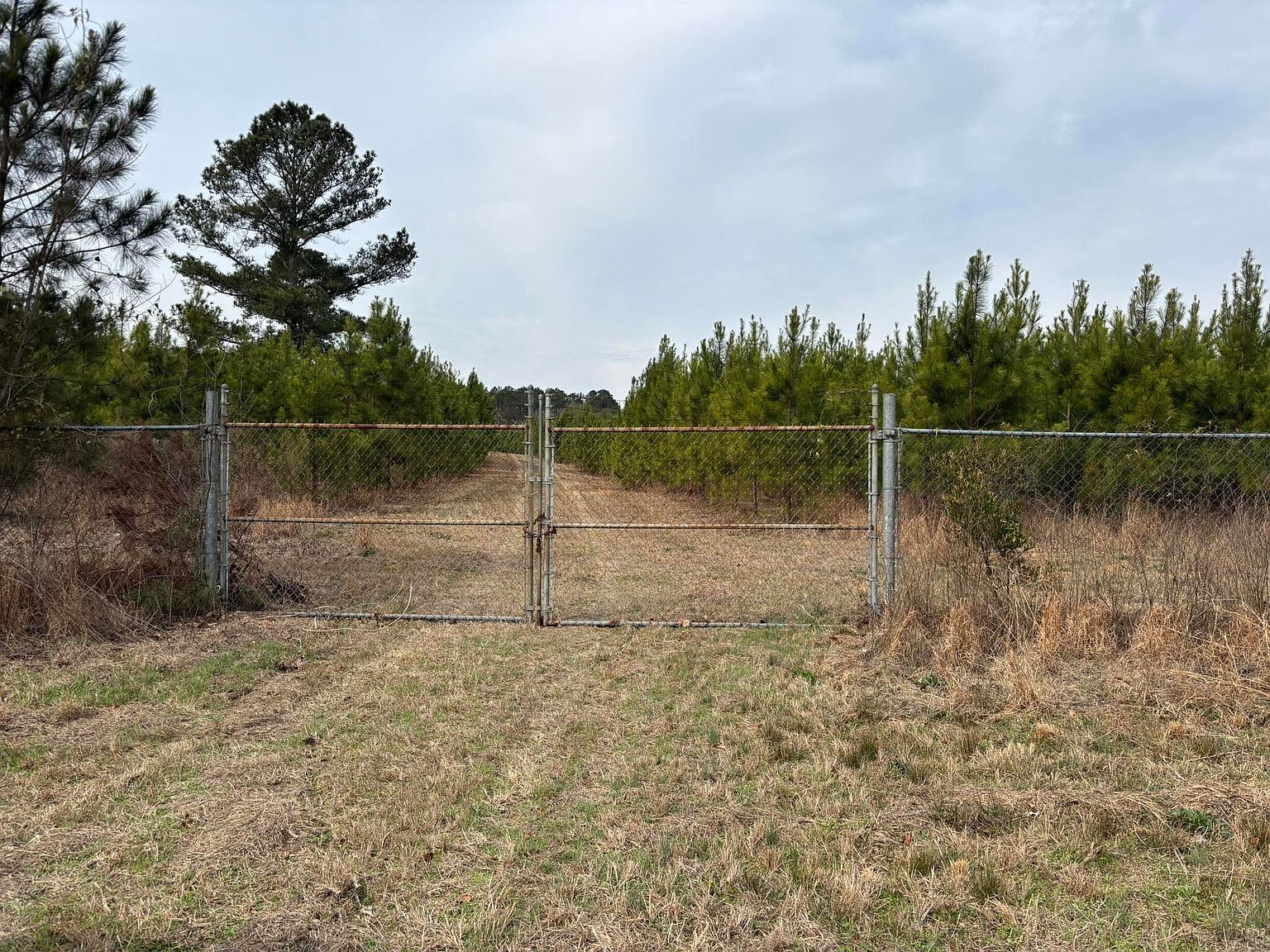 3120 Savannah Hwy North, SC 29112 - Thumbnail 3