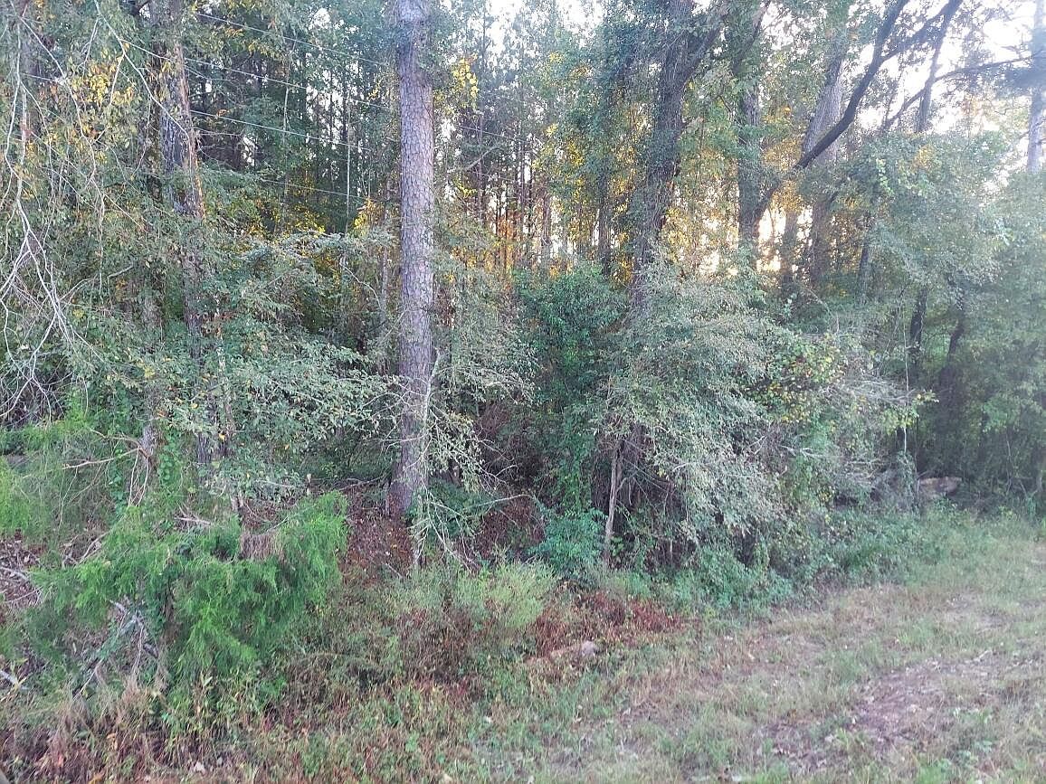 0 Clary Cut Rd Appling, GA 30802 - Thumbnail 3