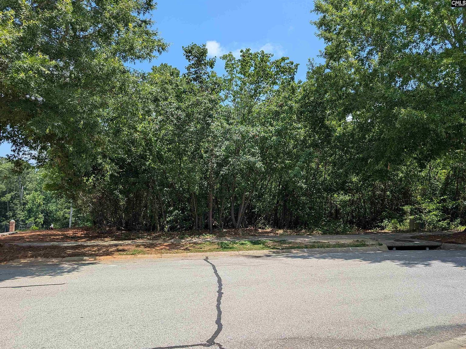 1060 Coogler Crossing Dr Blythewood, SC 29016 - Thumbnail 3