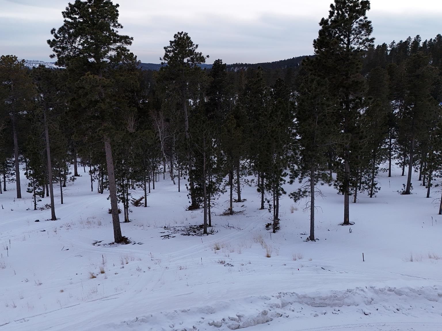 3 Overlook Pass Lead, SD 57754 - Thumbnail 3