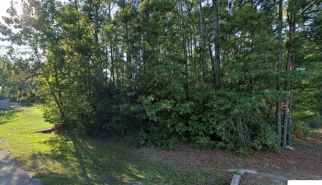 226 W Lone Oak Rd Onalaska, TX 77360 - Thumbnail 3